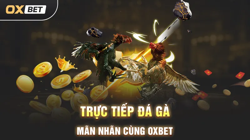 đá gà trực tiếp